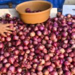 Wild swings in onion prices have now become fairly entrenched. Every alternate year, there is at least one price spiral.