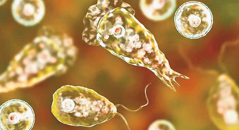 Amoebic Infection